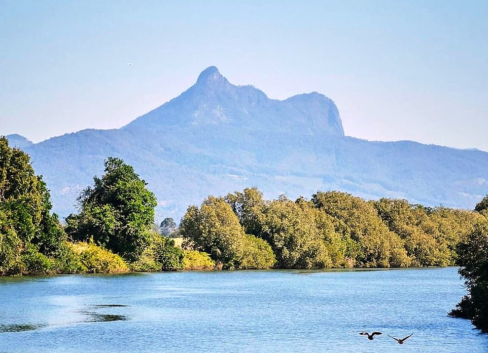 mt warning